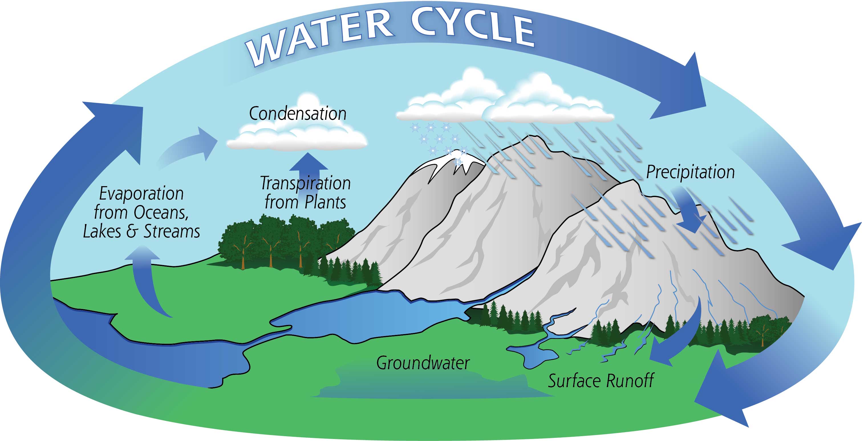 چرخه آب چیست